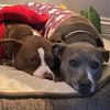 Penny and Etta