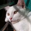 hilda._13