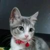 aury7141