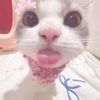 naaa._.sukakucing