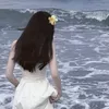 chaochangcongtu987