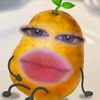 user1498443200067