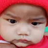 shobret2