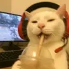 mingu.lo1