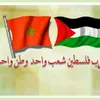 walidassiouigmail