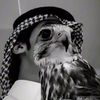 as_l8j