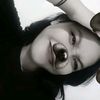 fy_shaa