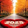 docdoc1236