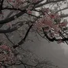 kjhfgdsf