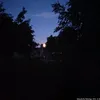 truvisch