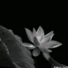 heoco.iu