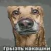 userkwghxavjhn