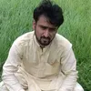 sanajanzehri786