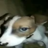 lulihkkkkj
