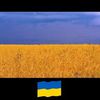 ukrainavsertsi