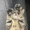 killux.zk