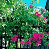 .arkar3688