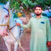 shahnawaz45165