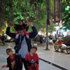 widi14044