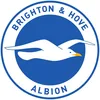 brighton_fan_7