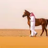 al_16ol