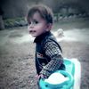 muhammadhamdan3774