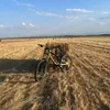 nikitobebro