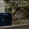hsjjejjejjdjdkrk