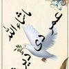 shakir.khan.367