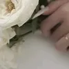 zmnxtkwnj