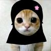 cattymow
