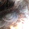 mr.sandip39