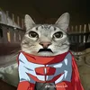 omnicat24