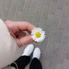 serdse_oo8