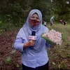 rusiahabdhamidnew