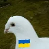 andrzejmaslak6