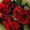 user3450143069331
