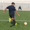 tarikoperico