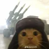 axel_fujaro