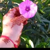 iluus_ntmazirt1