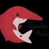 tanaka_rkt