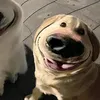 aeevqz