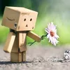 3_bao_doi
