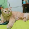 moeza.puma5