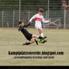 luca_vfr14