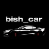 bish_car