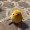 user5zhtygfd2m