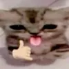 allyx.meow