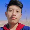 davidquispe5593