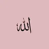 ayat_dz213